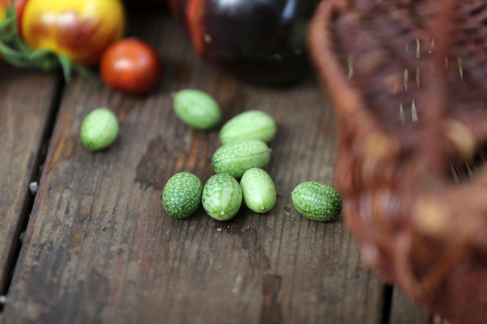 Mouse melons